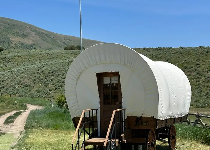 Eycat Company Campsite Wapiti