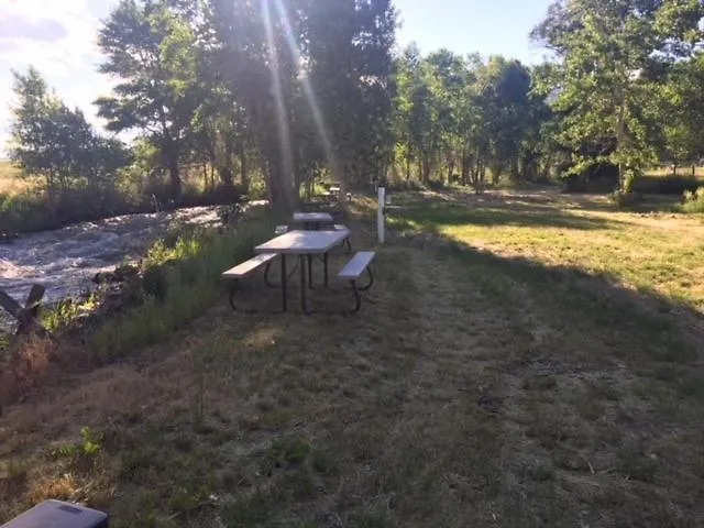 Eycat Company Campsite