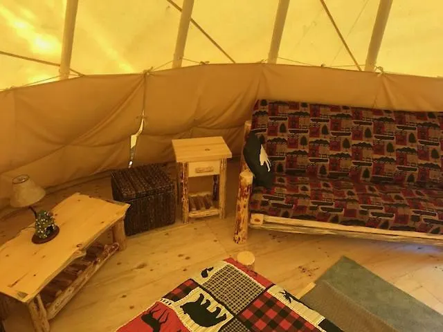 Campsite Eycat Company Wapiti