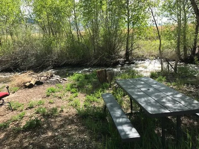Eycat Company Campsite Wapiti