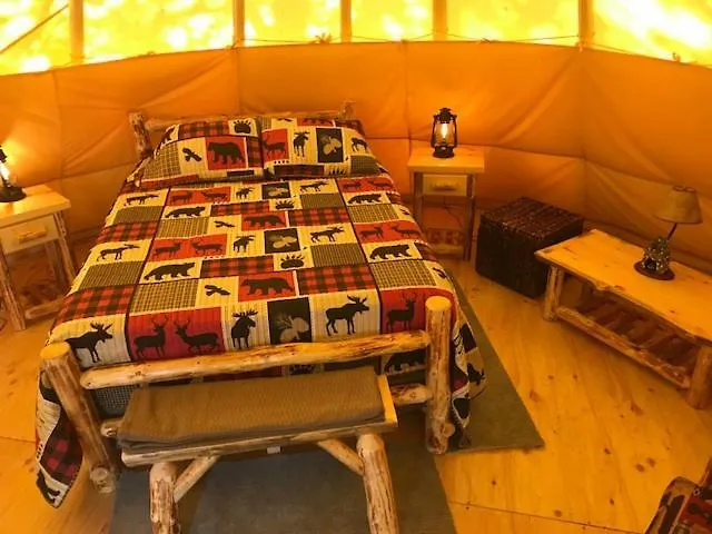 Campsite Eycat Company Wapiti