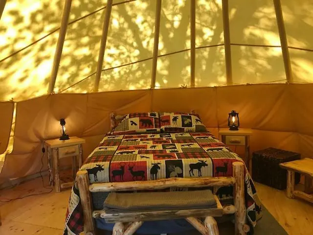 Campsite Eycat Company Wapiti